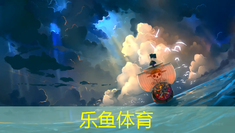 散打跆拳道护具要求