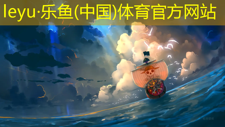 中站区全塑型塑胶跑道施工